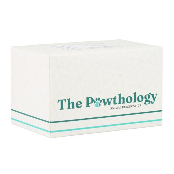 Canine Coronavirus Antigen Schnelltest | The Pawthology